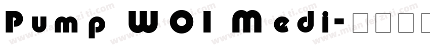 Pump W01 Medi字体转换